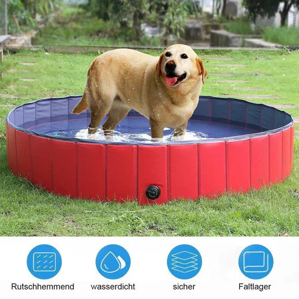 Folding Dog Pool - AquaPaws