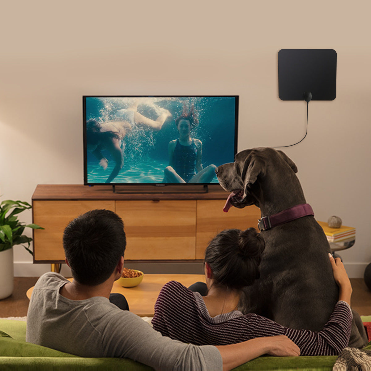 High Gain Indoor TV Antenna - SignalMax Pro