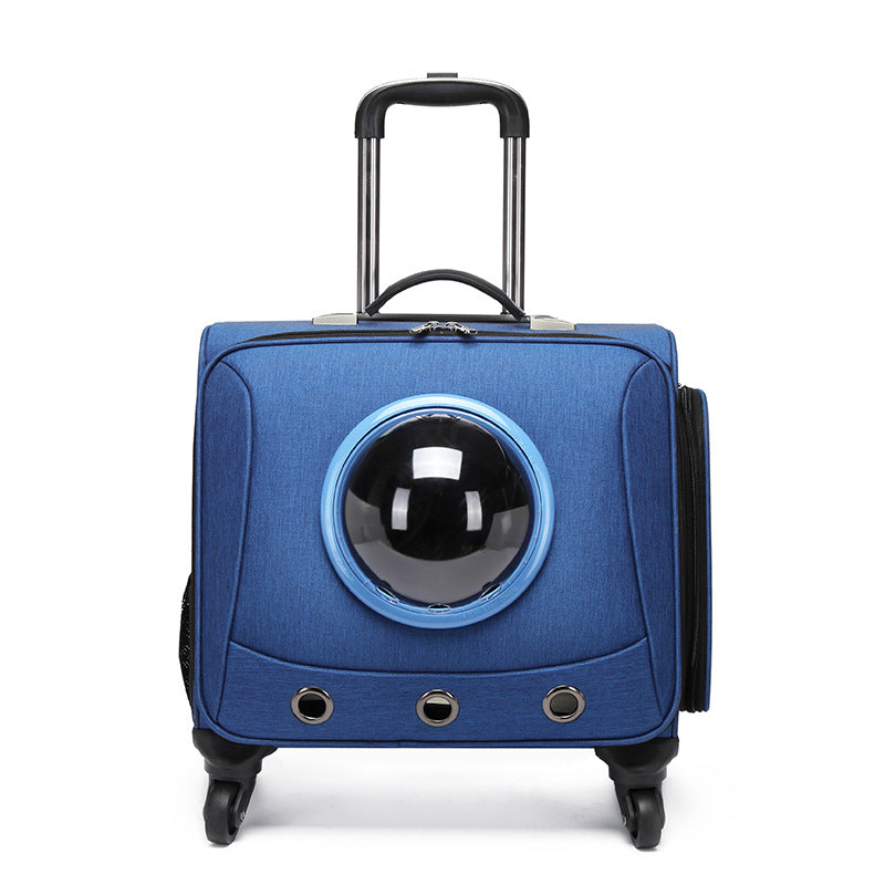 Pet Travel Capsule - Pawsitive Journeys
