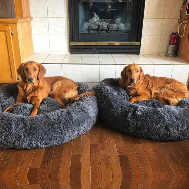 Orthopedic Donut Dog Bed - LuxePaws
