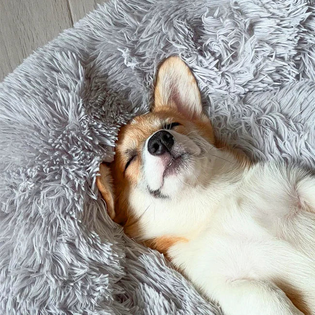 Orthopedic Donut Dog Bed - LuxePaws