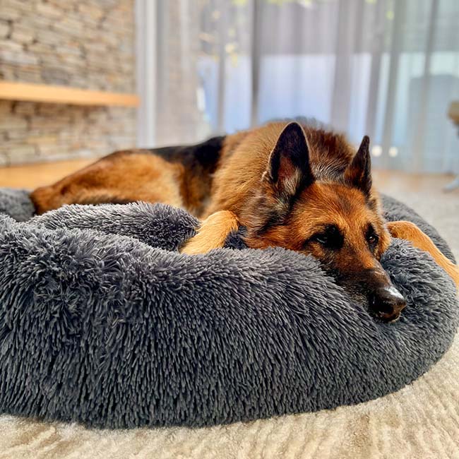 Orthopedic Donut Dog Bed - LuxePaws