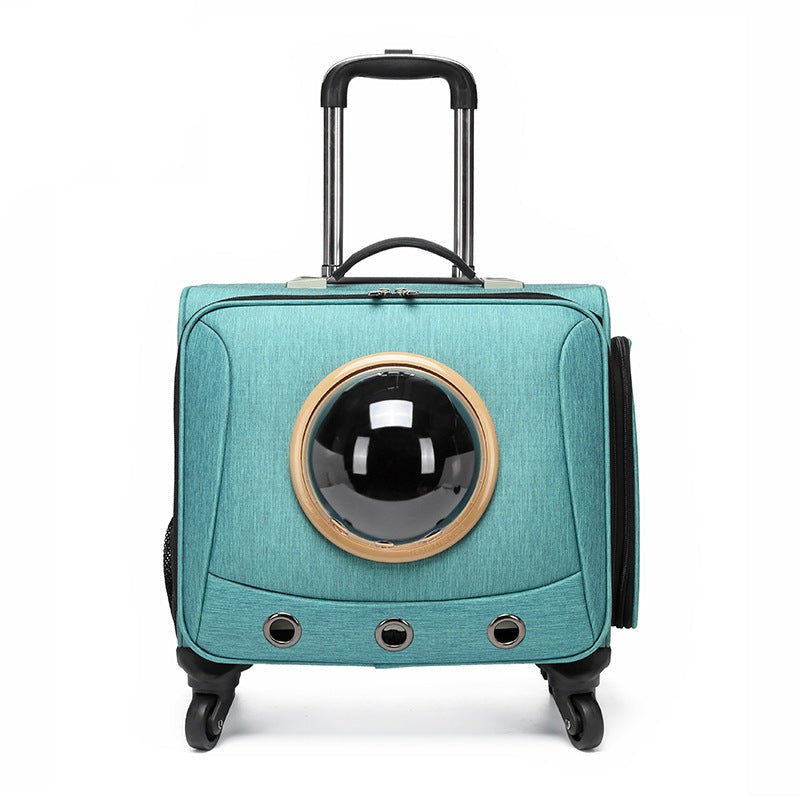 Pet Travel Capsule - Pawsitive Journeys