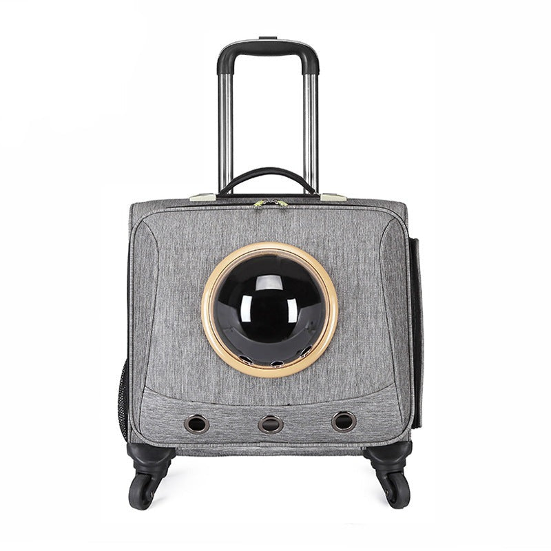 Pet Travel Capsule - Pawsitive Journeys