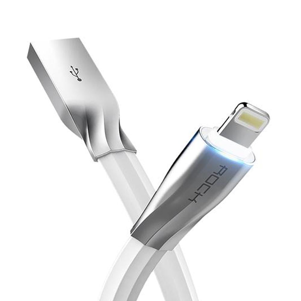 Auto Disconnect Charging Cable - EcoCharge Solutions