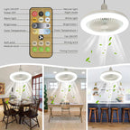 Ceiling Fan with Light - LuxeAir