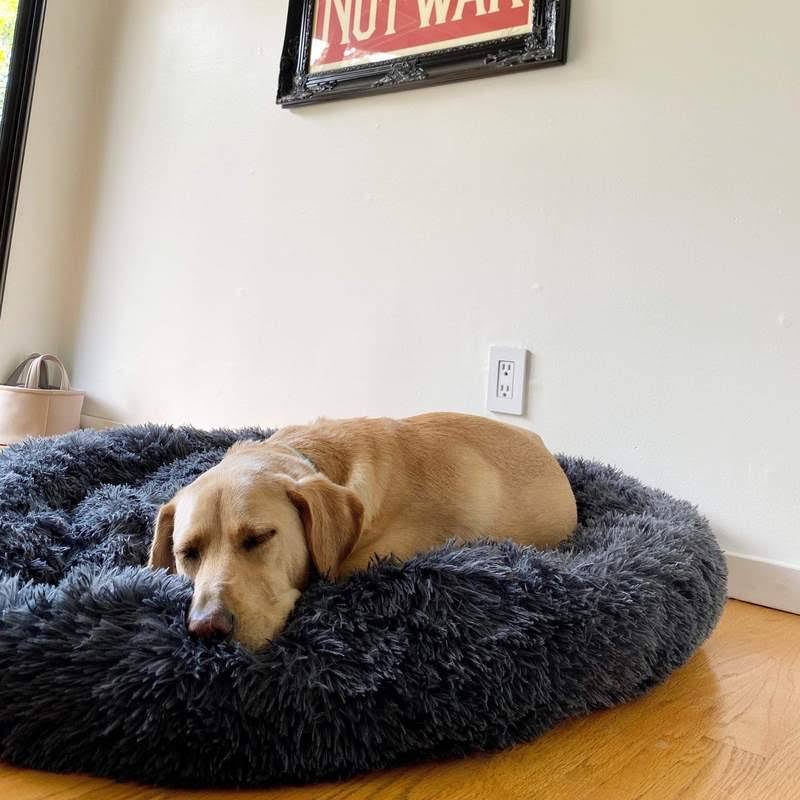Orthopedic Donut Dog Bed - LuxePaws