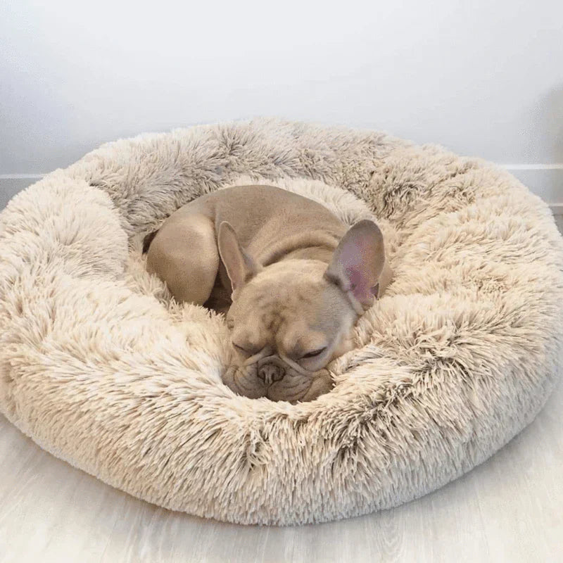 Orthopedic Donut Dog Bed - LuxePaws