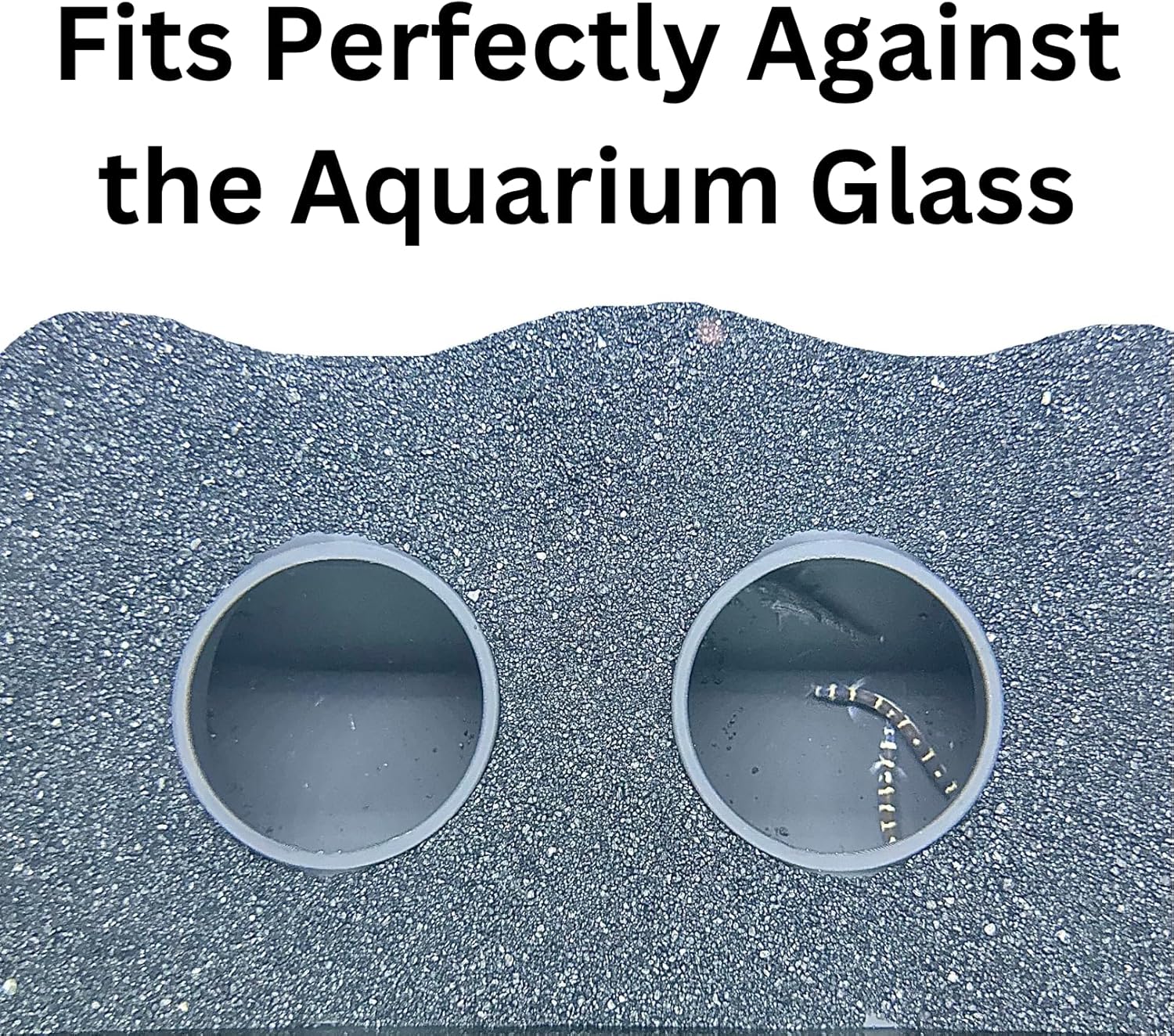 Aquarium Underground Curve Tunnel - AquaVista™