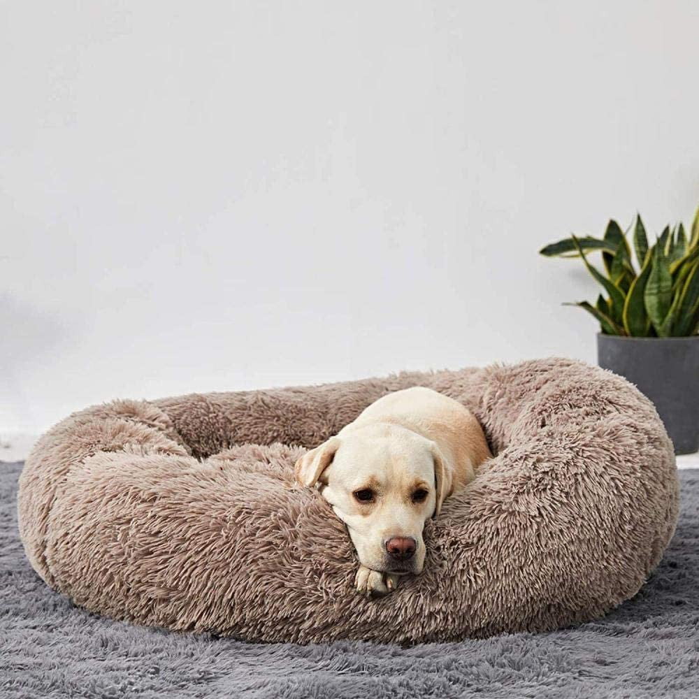 Orthopedic Donut Dog Bed - LuxePaws