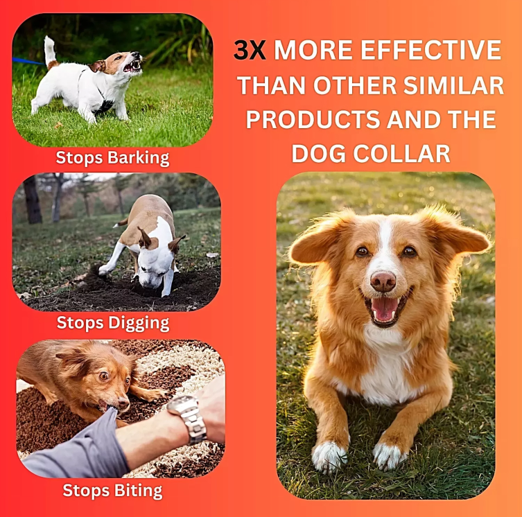 Ultrasonic Dog Bark Control Device - PetHarmony