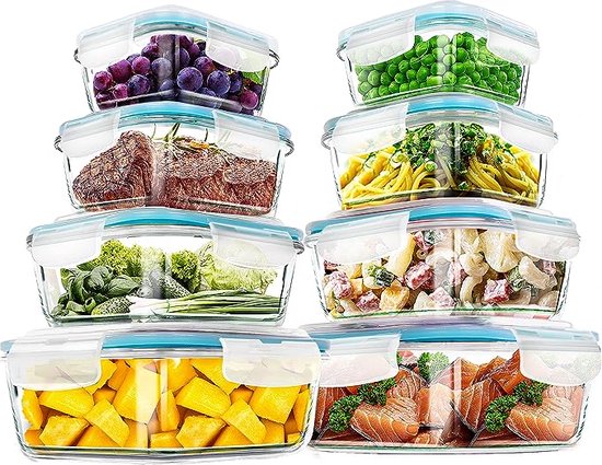 Borosilicate Glass Lunchbox - PureGlass Essentials