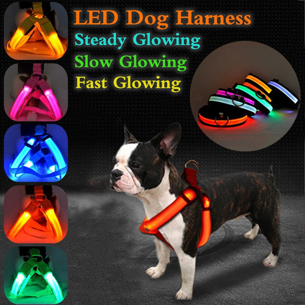 Nylon LED Pet Safety Harness - LumiPaws