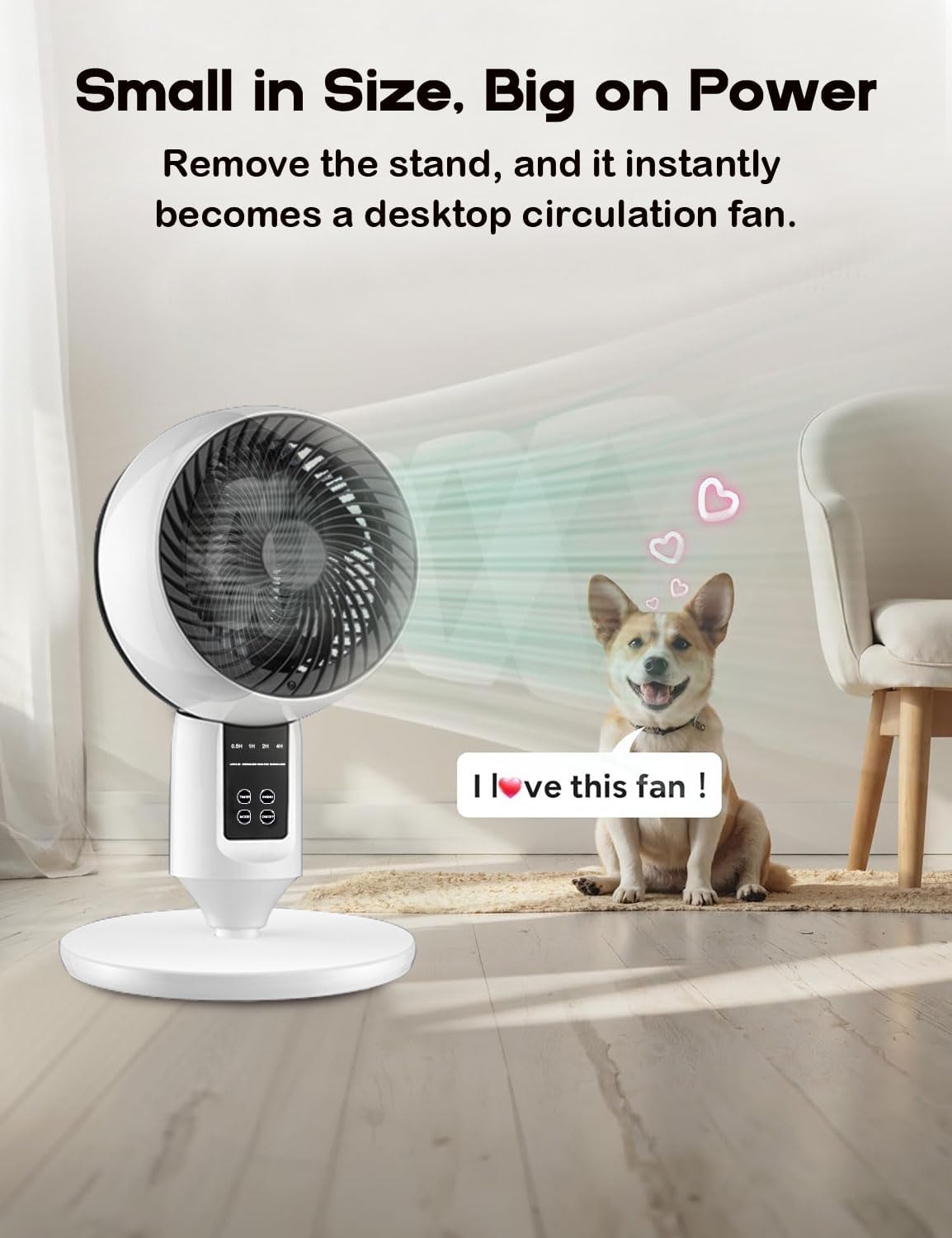 3D Oscillating Adjustable Stand Fan - ZephyrAir