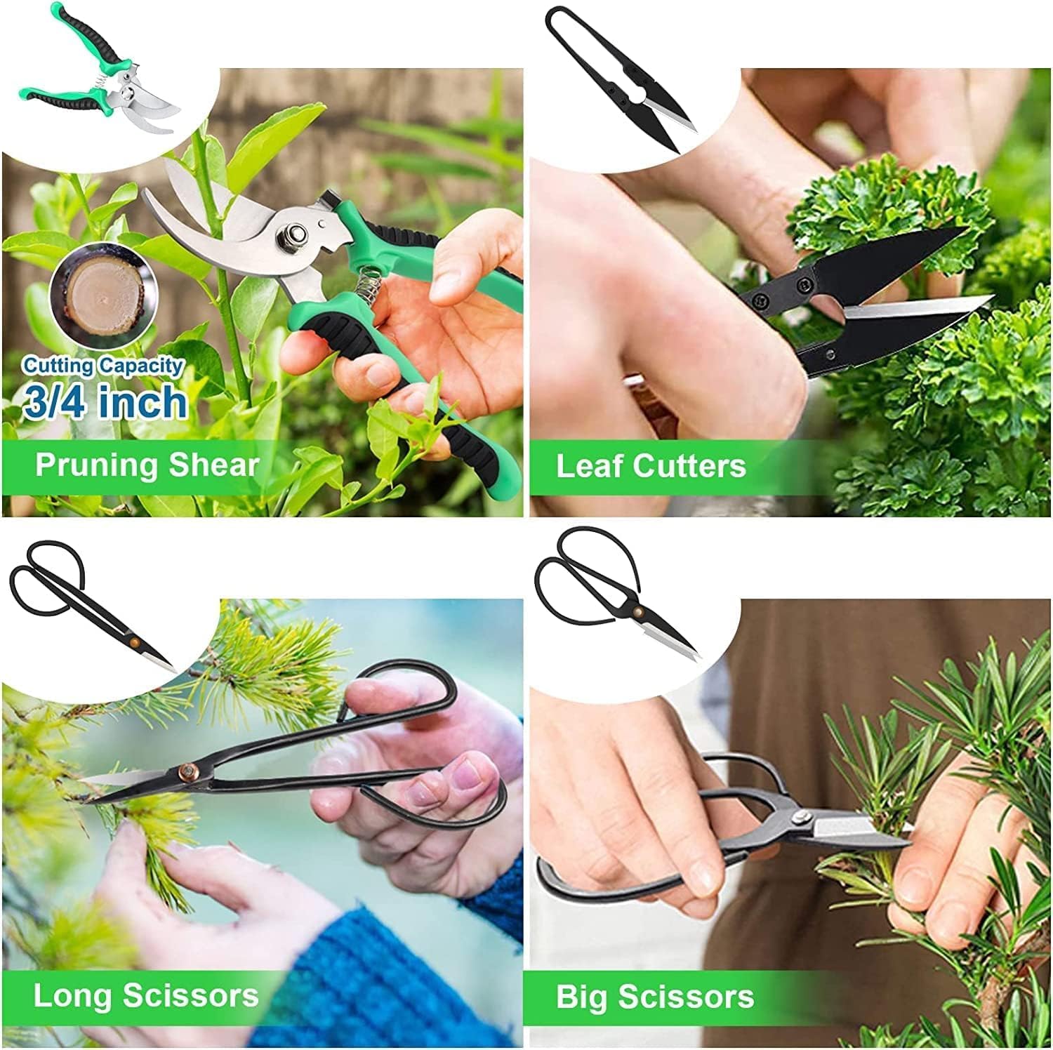 Bonsai Tree Care Kit with High Alloy Steel Tools - ArborLux