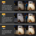 Solar Motion Sensor Light with Flexible Arm - Luminara