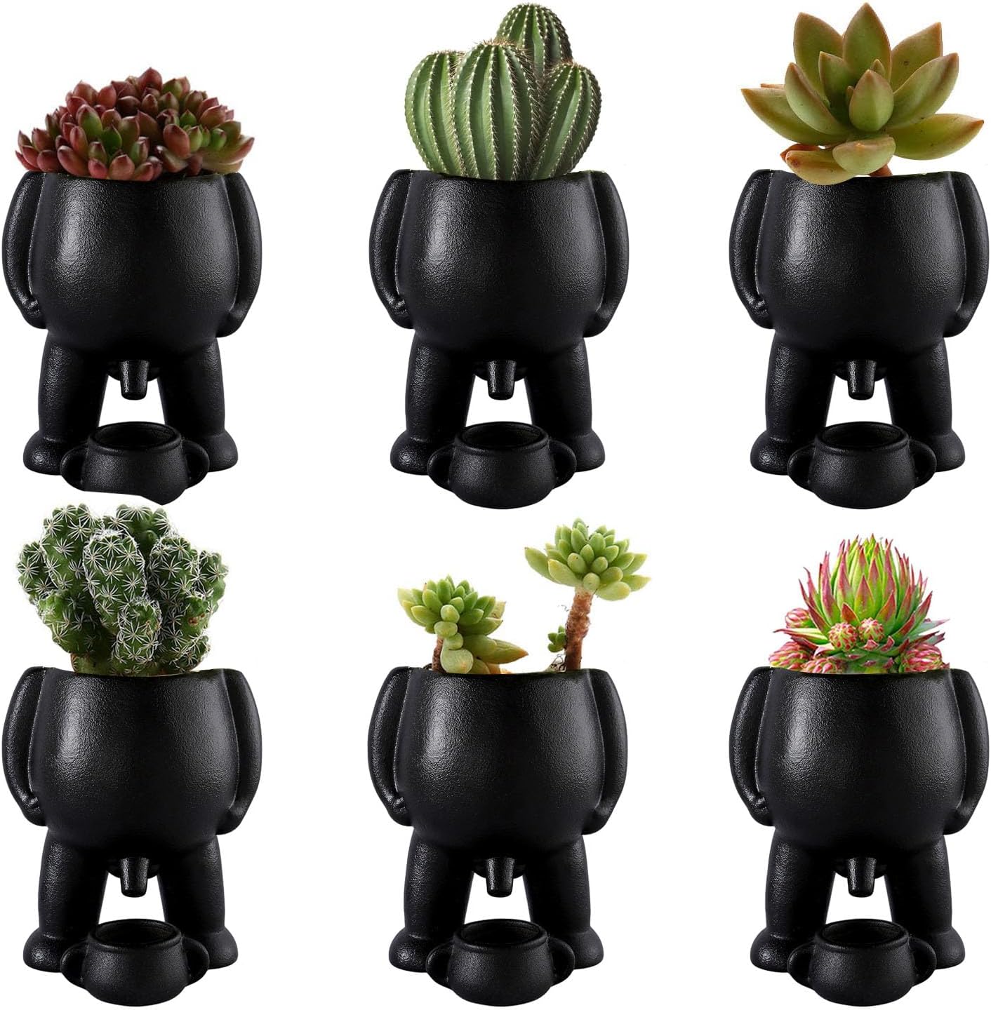 Naughty Planter - GreenThumb Elegance