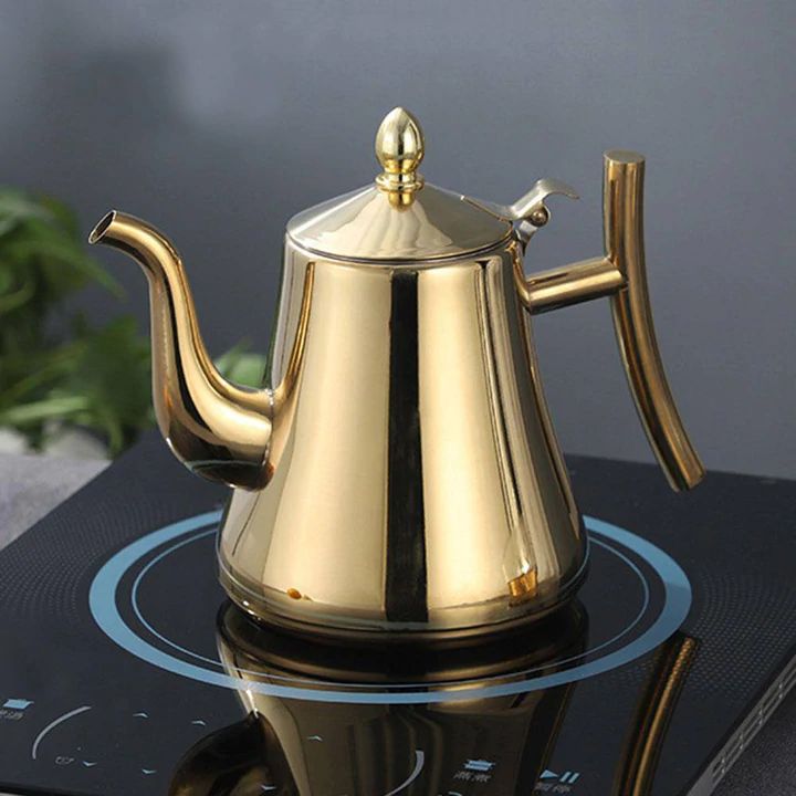 Stainless Steel Induction Kettle with Filter - PureWave