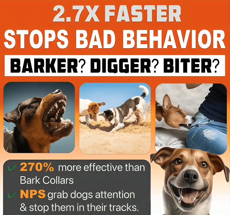 Ultrasonic Dog Bark Control Device - PetHarmony