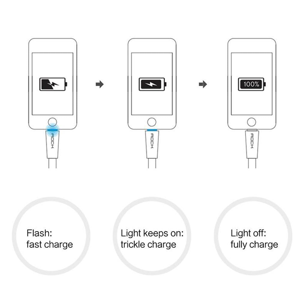Auto Disconnect Charging Cable - EcoCharge Solutions