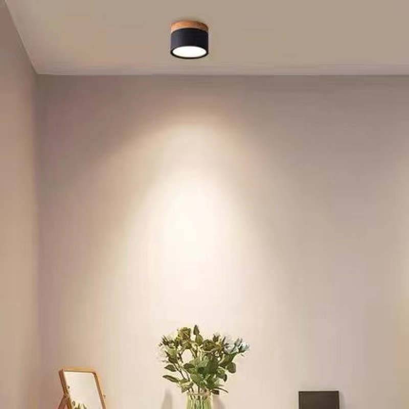 Modern LED Ceiling Light - LumaVista