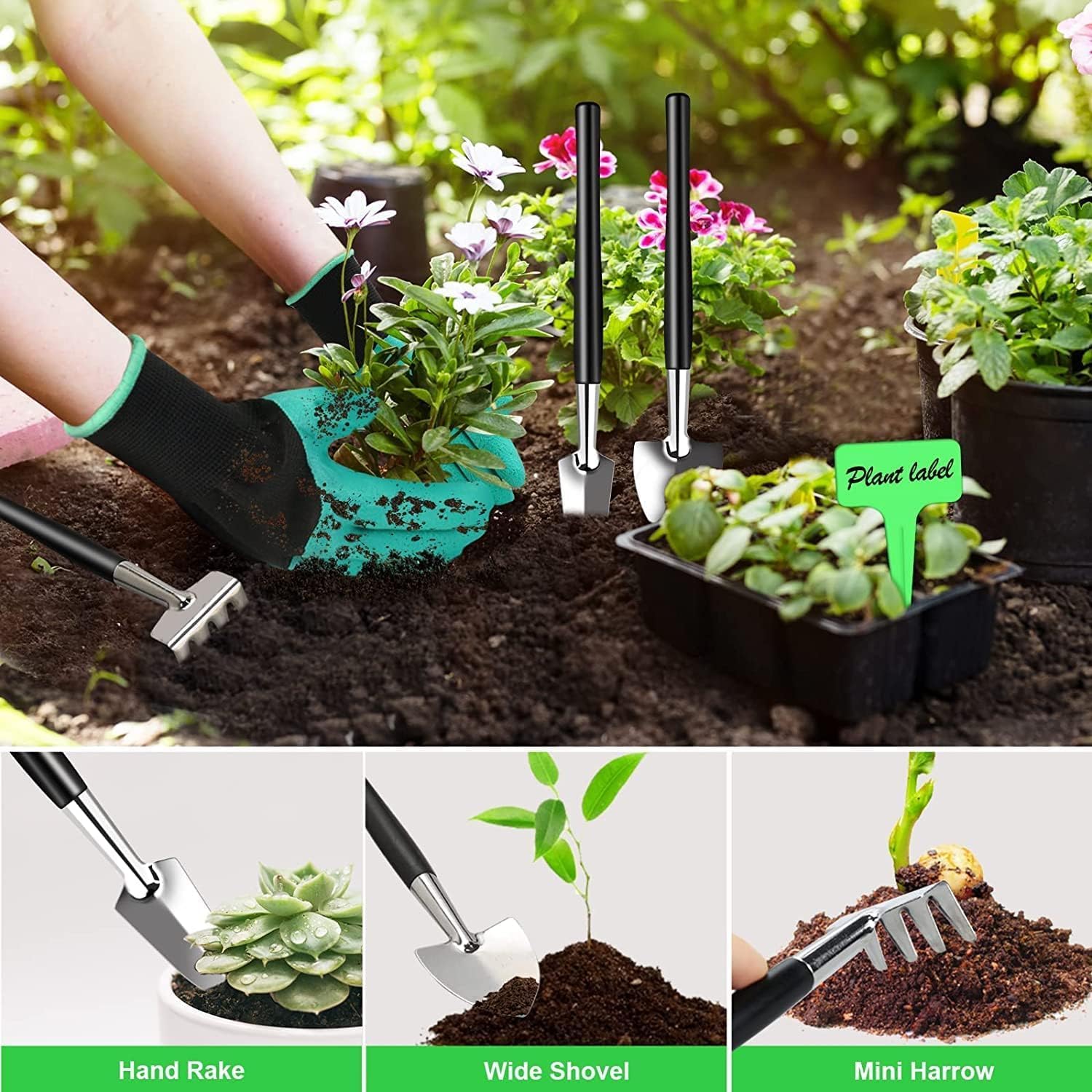 Bonsai Tree Care Kit with High Alloy Steel Tools - ArborLux