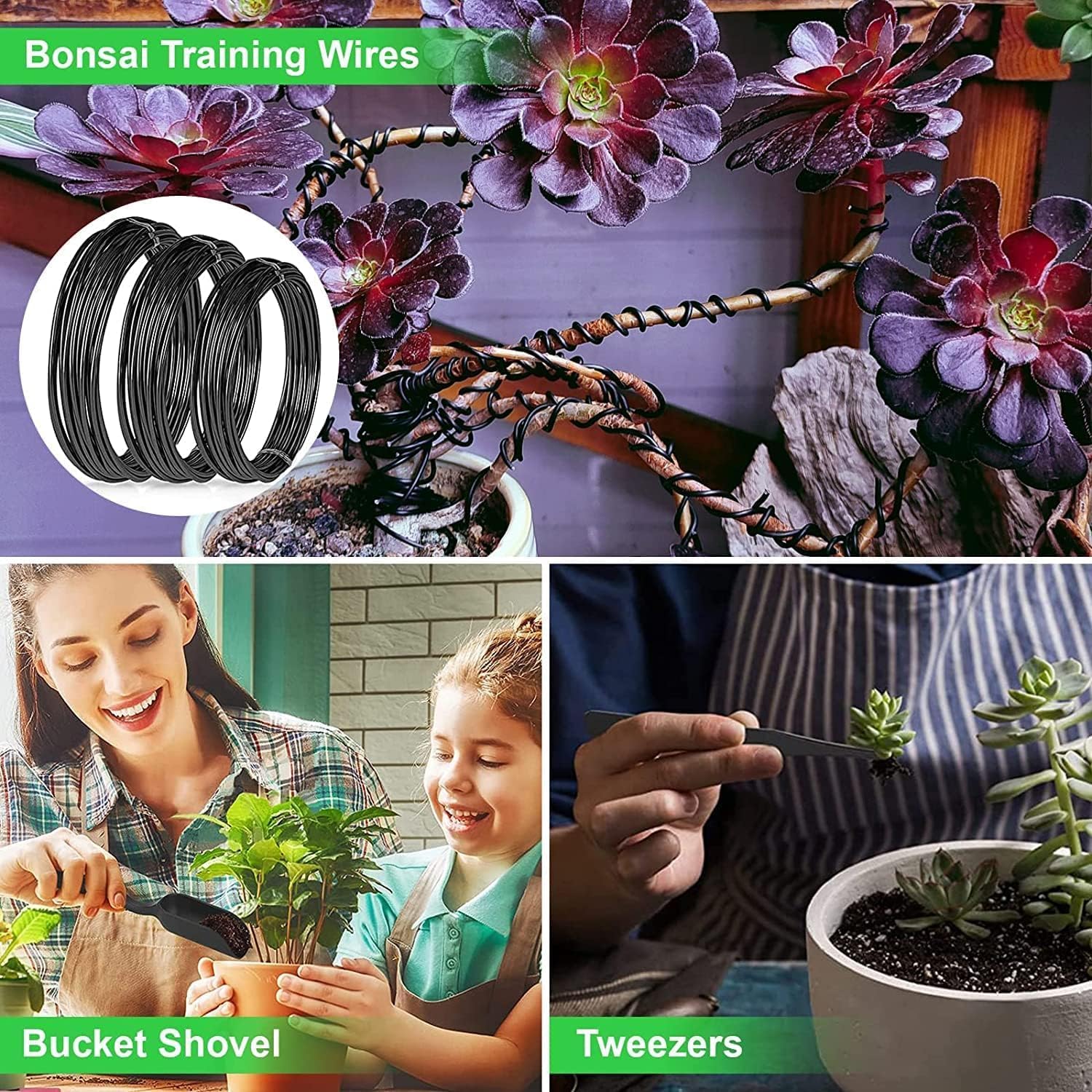 Bonsai Tree Care Kit with High Alloy Steel Tools - ArborLux