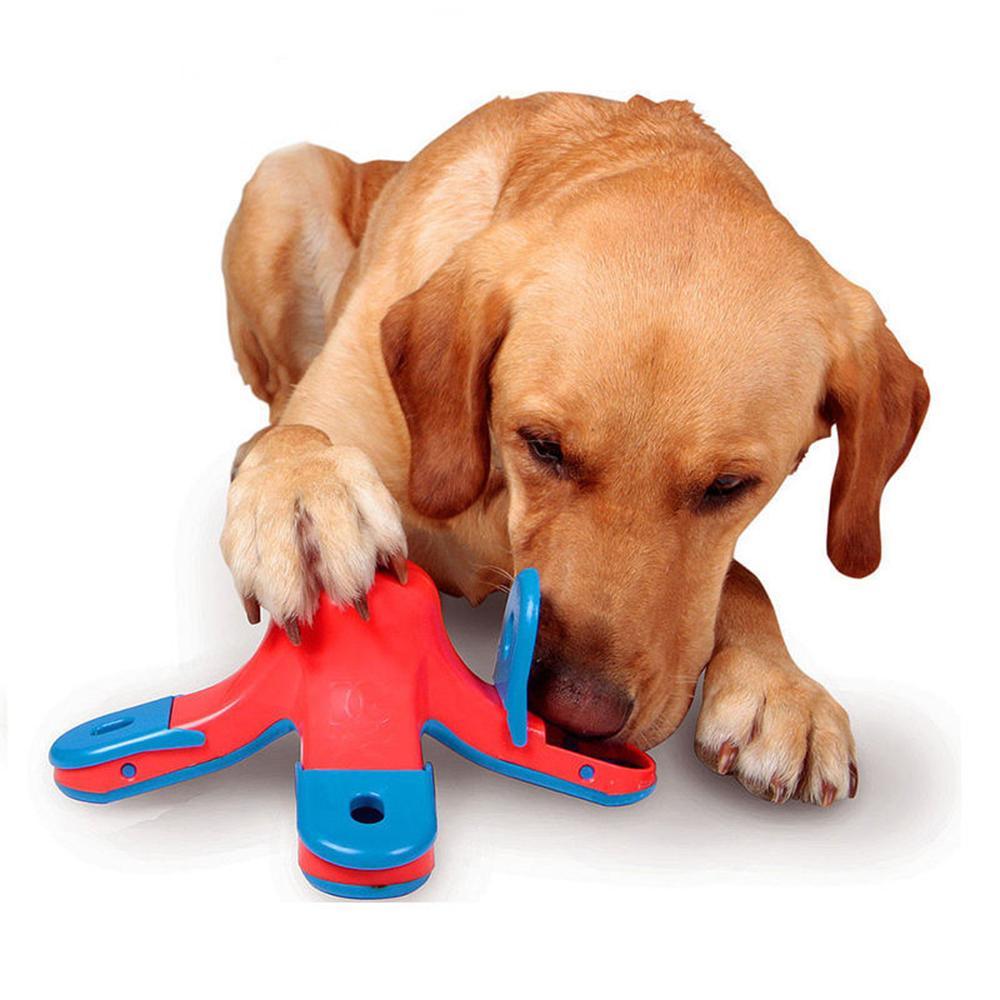 Interactive Dog Puzzle Toy - Pawsitive Play