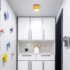 Modern LED Ceiling Light - LumaVista
