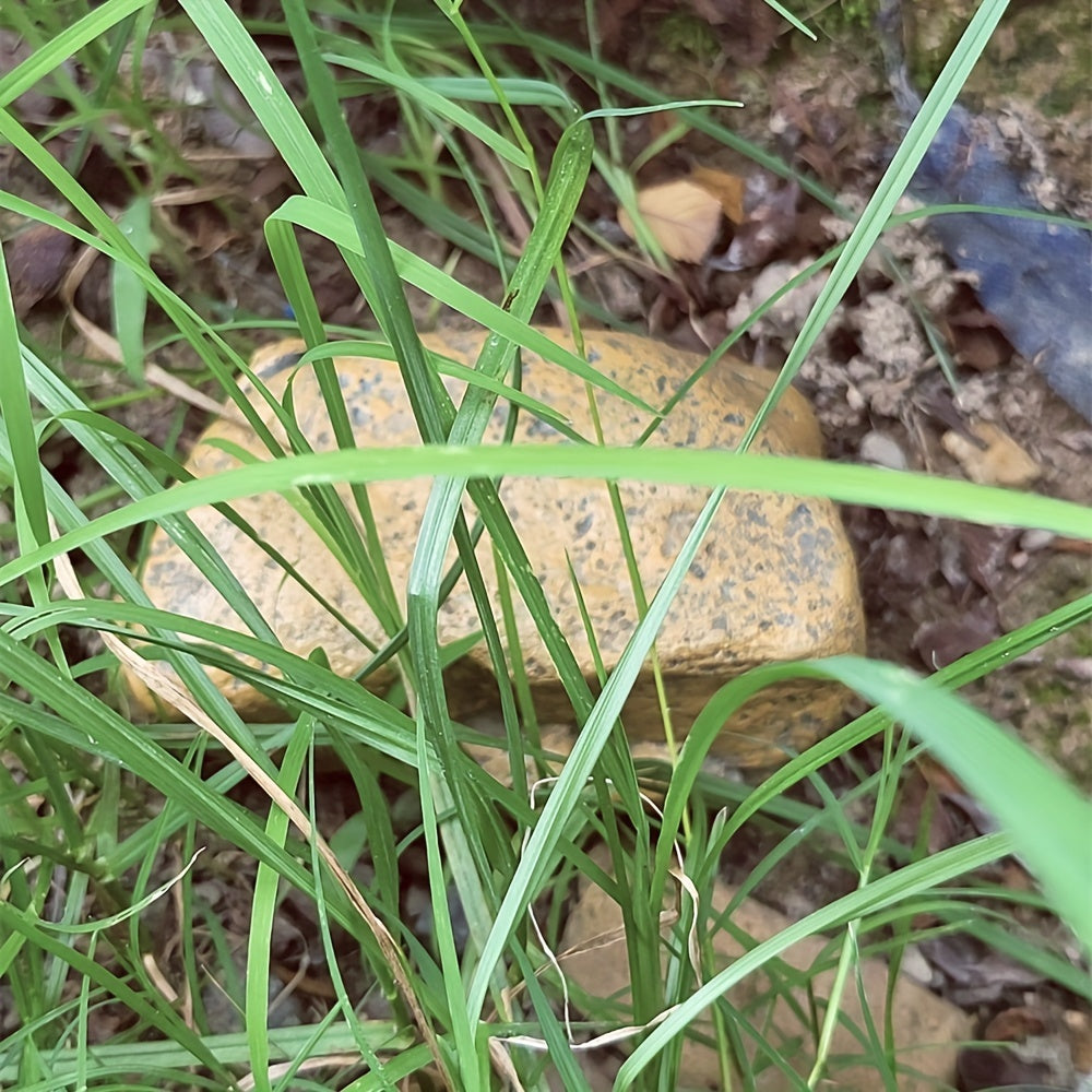 Stone-Look Key Hider Rock Safe - SecureHide