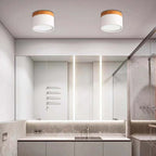 Modern LED Ceiling Light - LumaVista