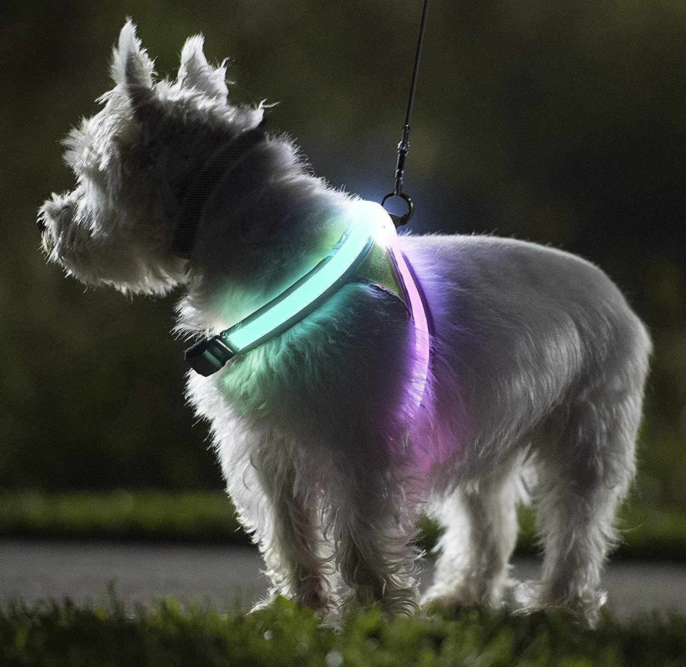 LED Dog Harness - LuminaPaws