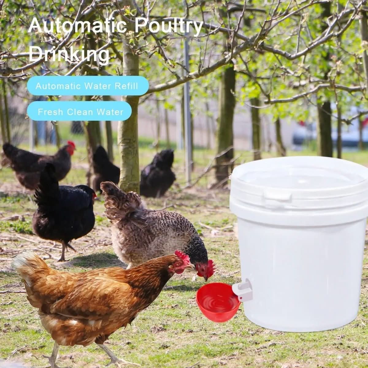 AquaNest - Automatic Chicken Waterer for Healthy Flocks