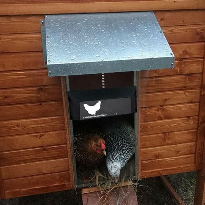 Automatic Chicken Coop Door - CoopGuard