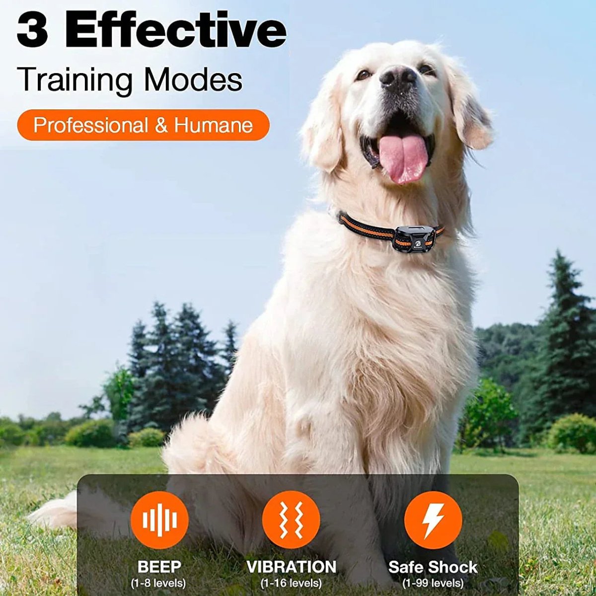 Training Collar Pro - Canine Command Electric Collar