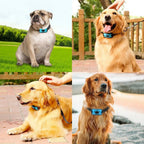 BarkControl Smart Dog Collar - Sound Technology by PetElite