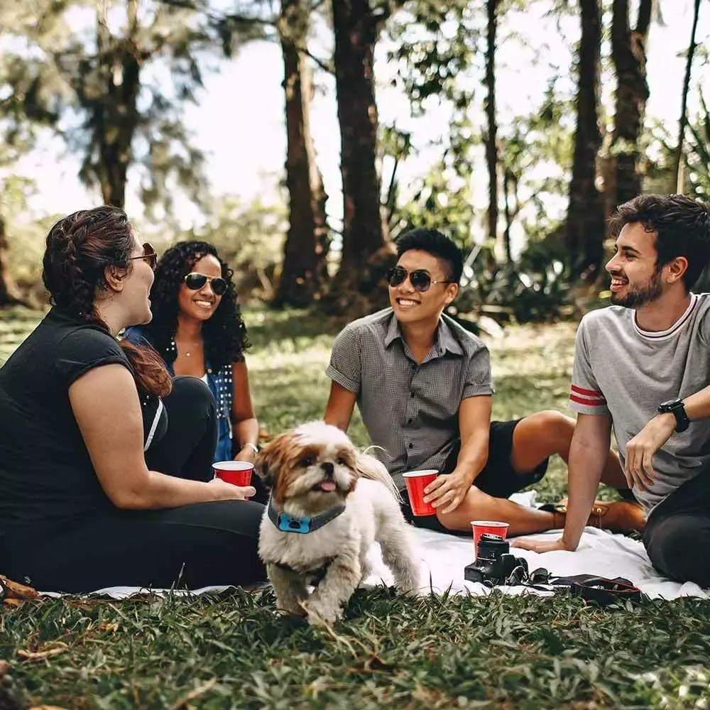 BarkControl Smart Dog Collar - Sound Technology by PetElite