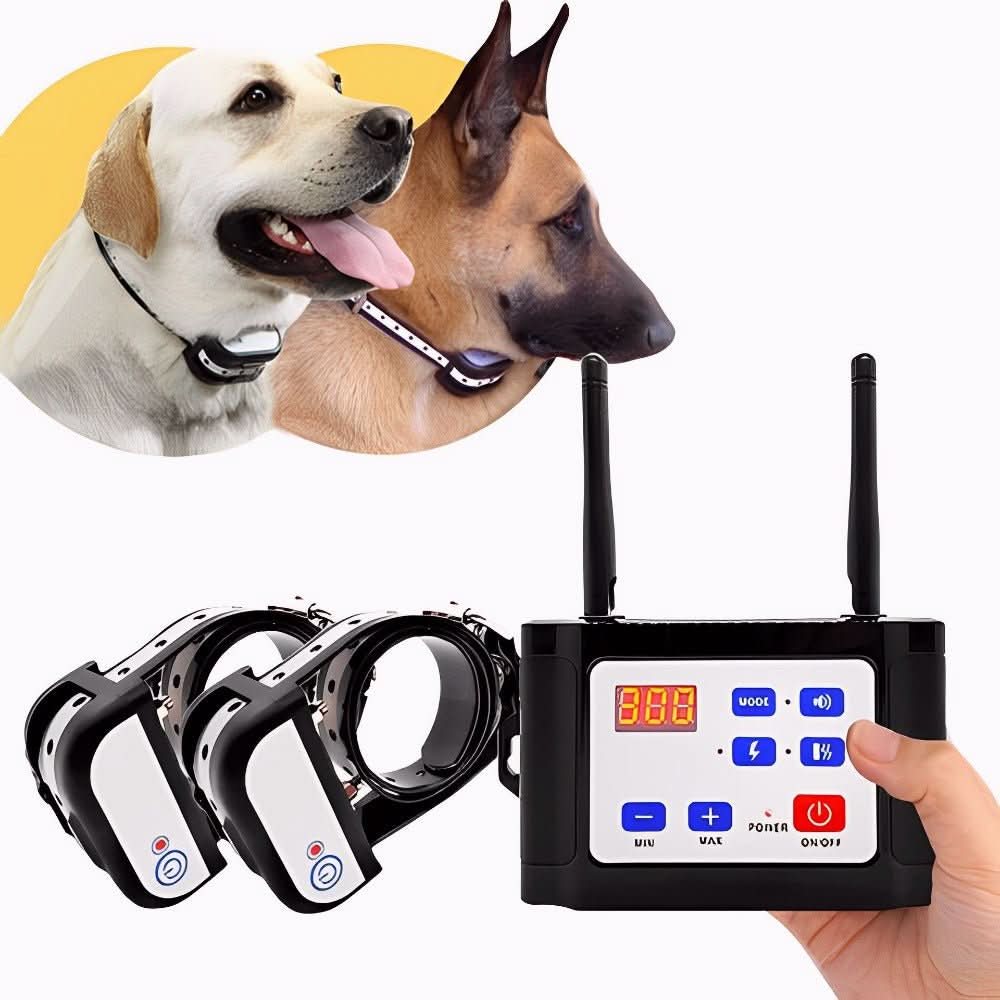 Wireless Dog Safety System - Pawsitive Guardian