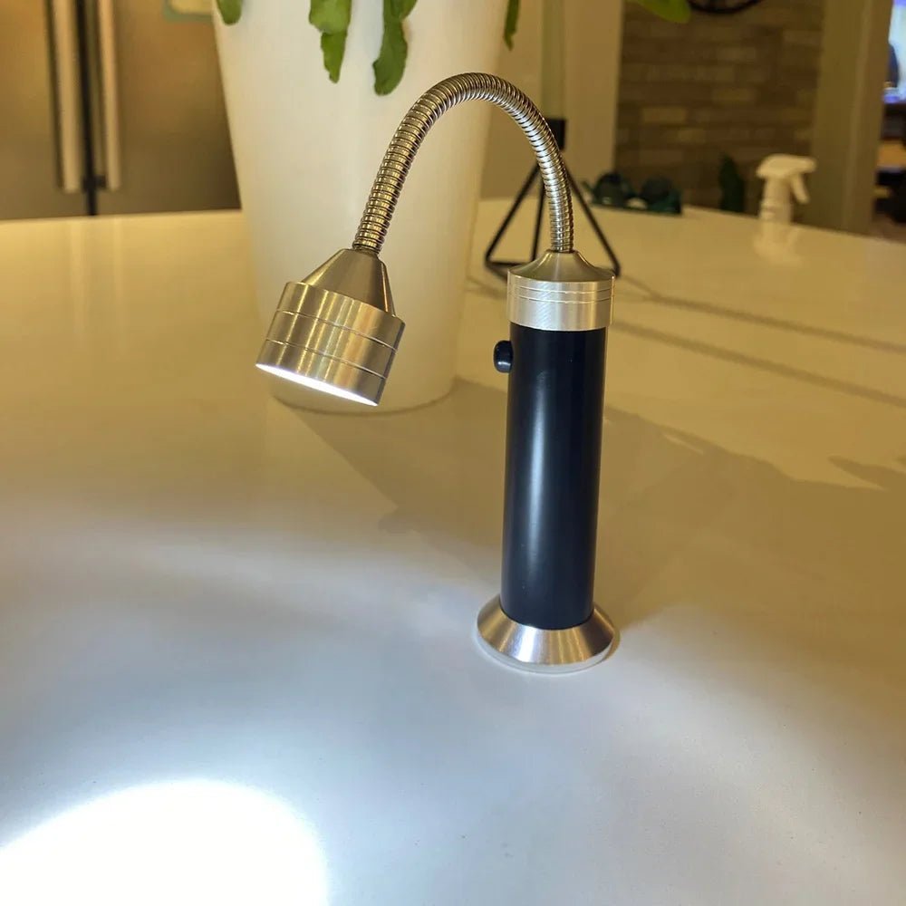 BBQ Light with 360° Rotation - LuminaPro