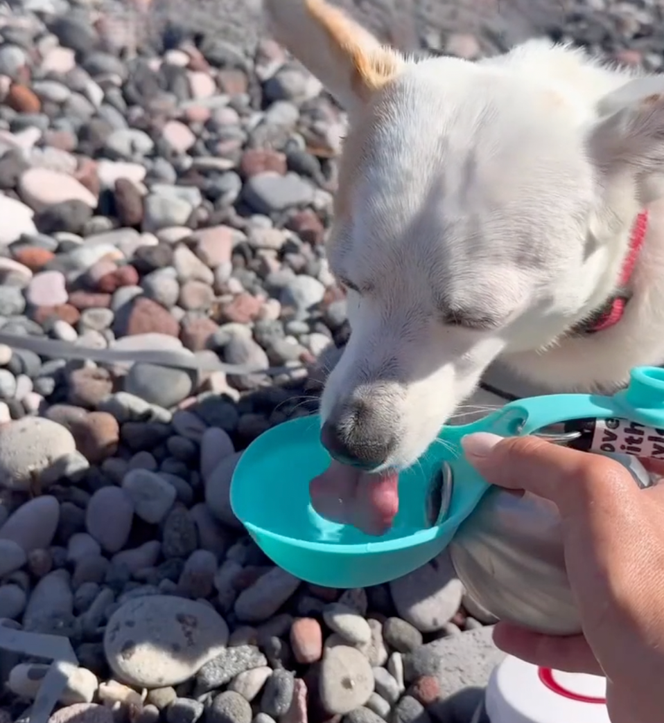 HydroPaw™ Travel Dog Water Bottle - AquaPaws