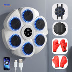 Smart Boxing Trainer - FitBox Pro