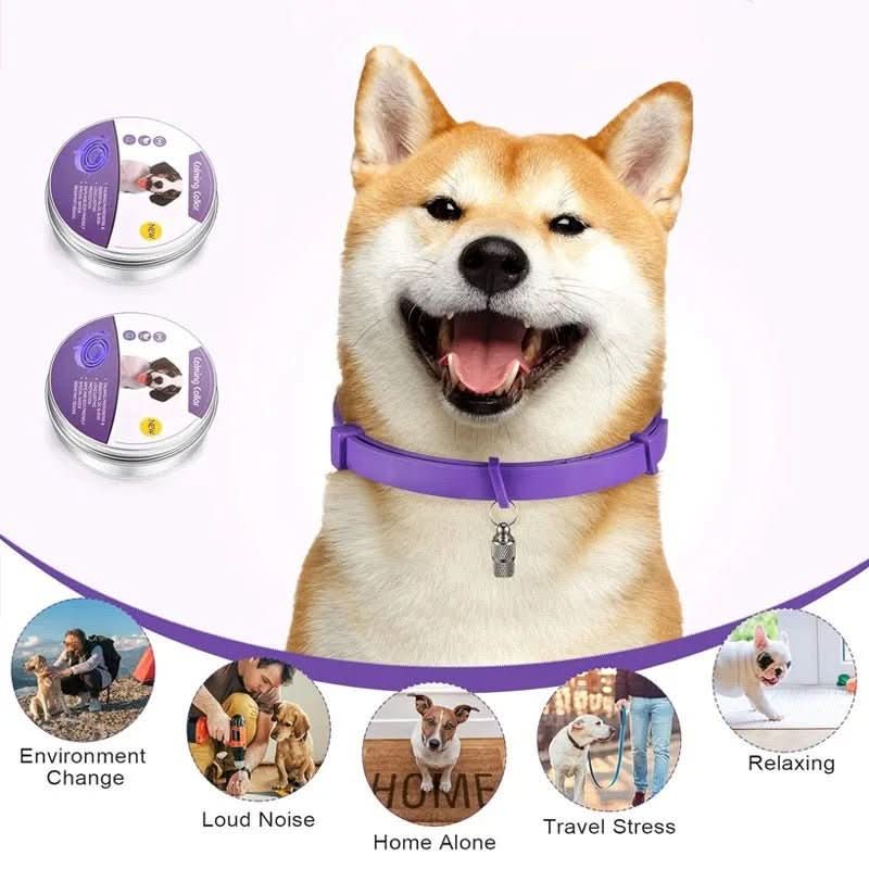 Calming Collar for Dogs - TranquilPaws