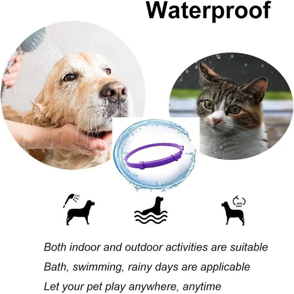 Calming Collar for Dogs - TranquilPaws