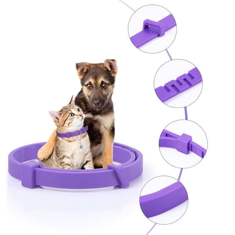 Calming Collar for Dogs - TranquilPaws
