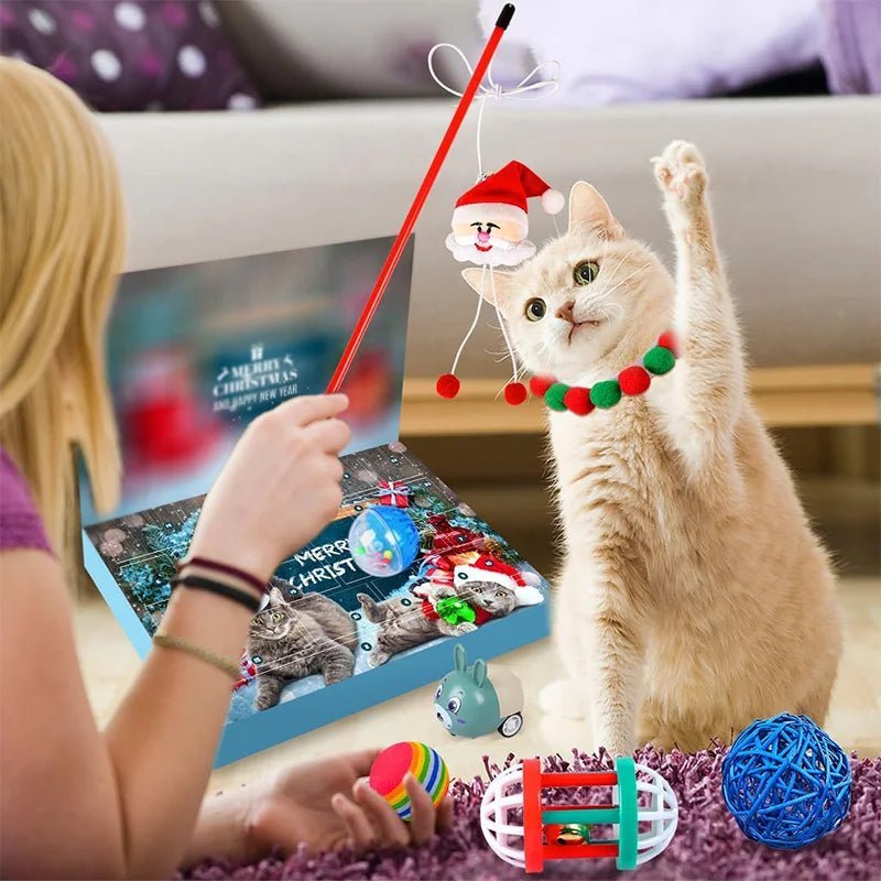 Catnip Advent Calendar - Purrfect Playtime Co.