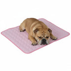 CoolMat - ArcticPaw Cooling Mat for Dogs and Cats