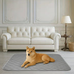 Cooling Pet Mat - ChillPaws Breathable Comfort for Dogs & Cats