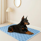 Cooling Pet Mat - ChillPaws Breathable Comfort for Dogs & Cats