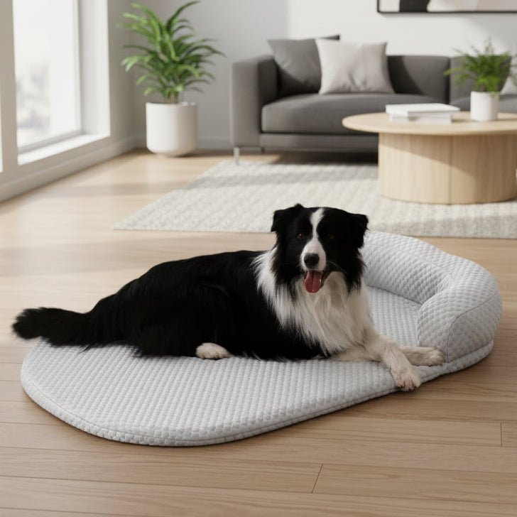 Cooling Mat for Pets - ChillPaws