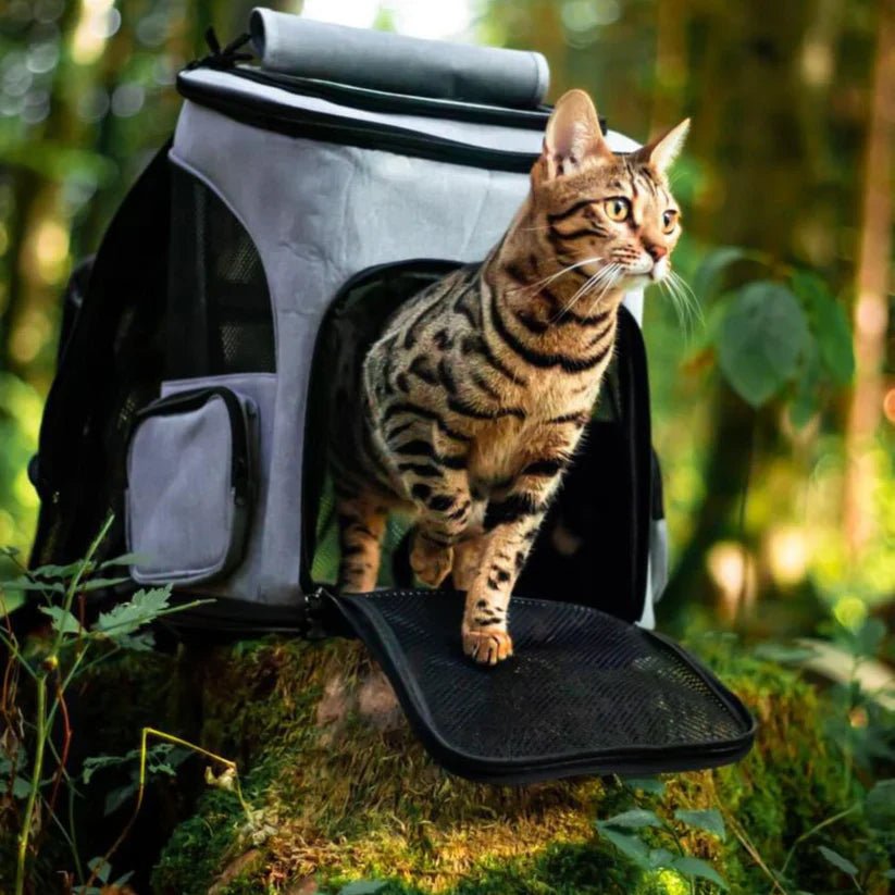 Cat Backpack with Viewing Window - Purrfect Travel Gear